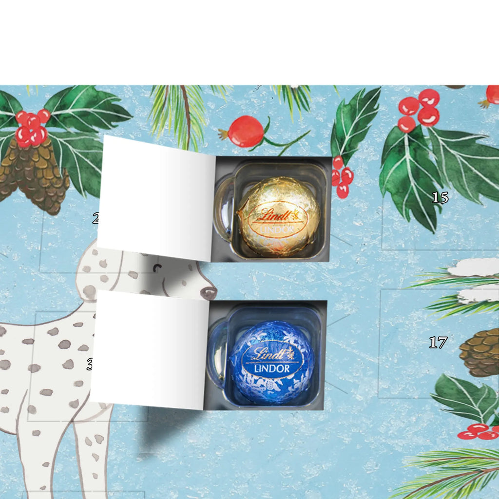  Dalmatyńczyk Chwila dawanie, prezent, Pies, rasa psa, pies rasowy, właściciel psa, miłośnik zwierząt, szczeniak