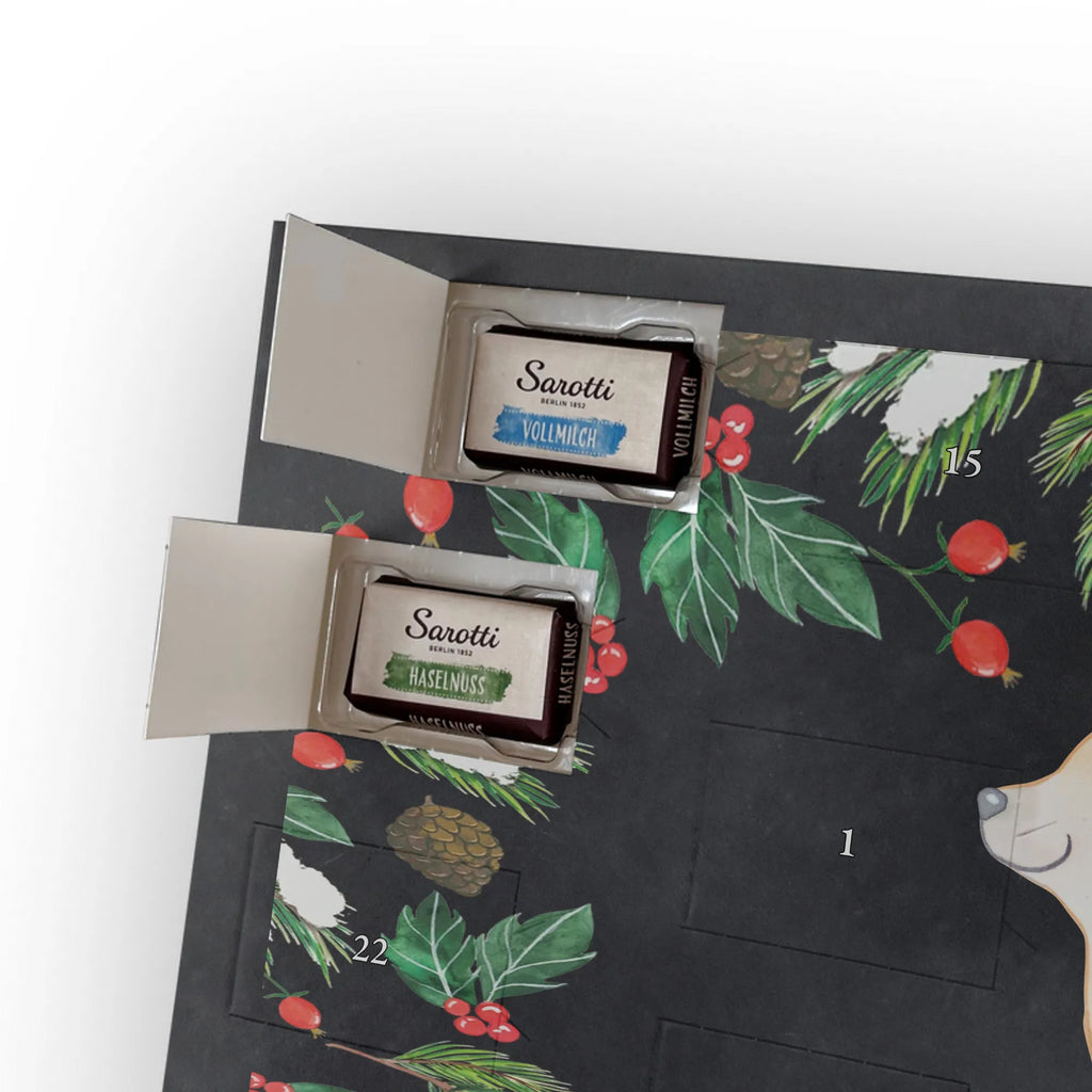  Golden Retriever chwila dawanie, prezent, Pies, rasa psa, pies rasowy, właściciel psa, miłośnik zwierząt, szczeniak