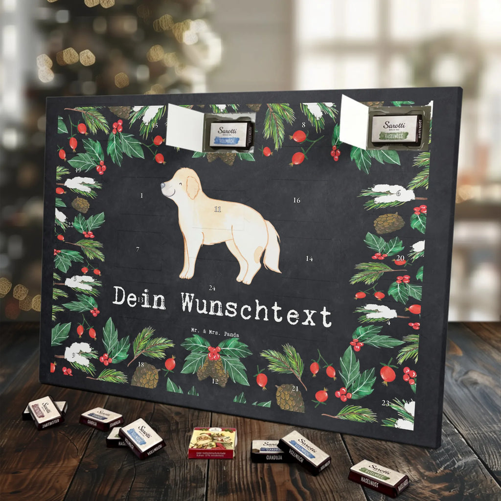  Golden Retriever chwila dawanie, prezent, Pies, rasa psa, pies rasowy, właściciel psa, miłośnik zwierząt, szczeniak