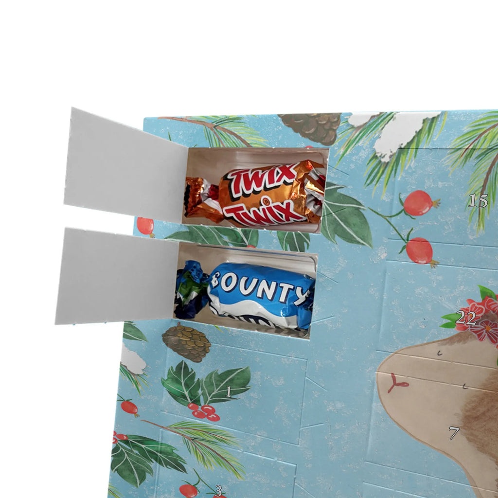  Guinea pig wisdom card, gift ideas, gifts, animal lover, special gifts, cute animal motives, hand drawn, small animals, good mood, cute, funny sayings, flower child, wisdom, wonder, saying, guinea pig, wonderland, reality