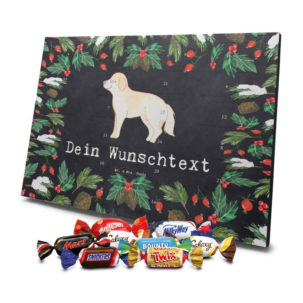  Golden Retriever chwila dawanie, prezent, Pies, rasa psa, pies rasowy, właściciel psa, miłośnik zwierząt, szczeniak