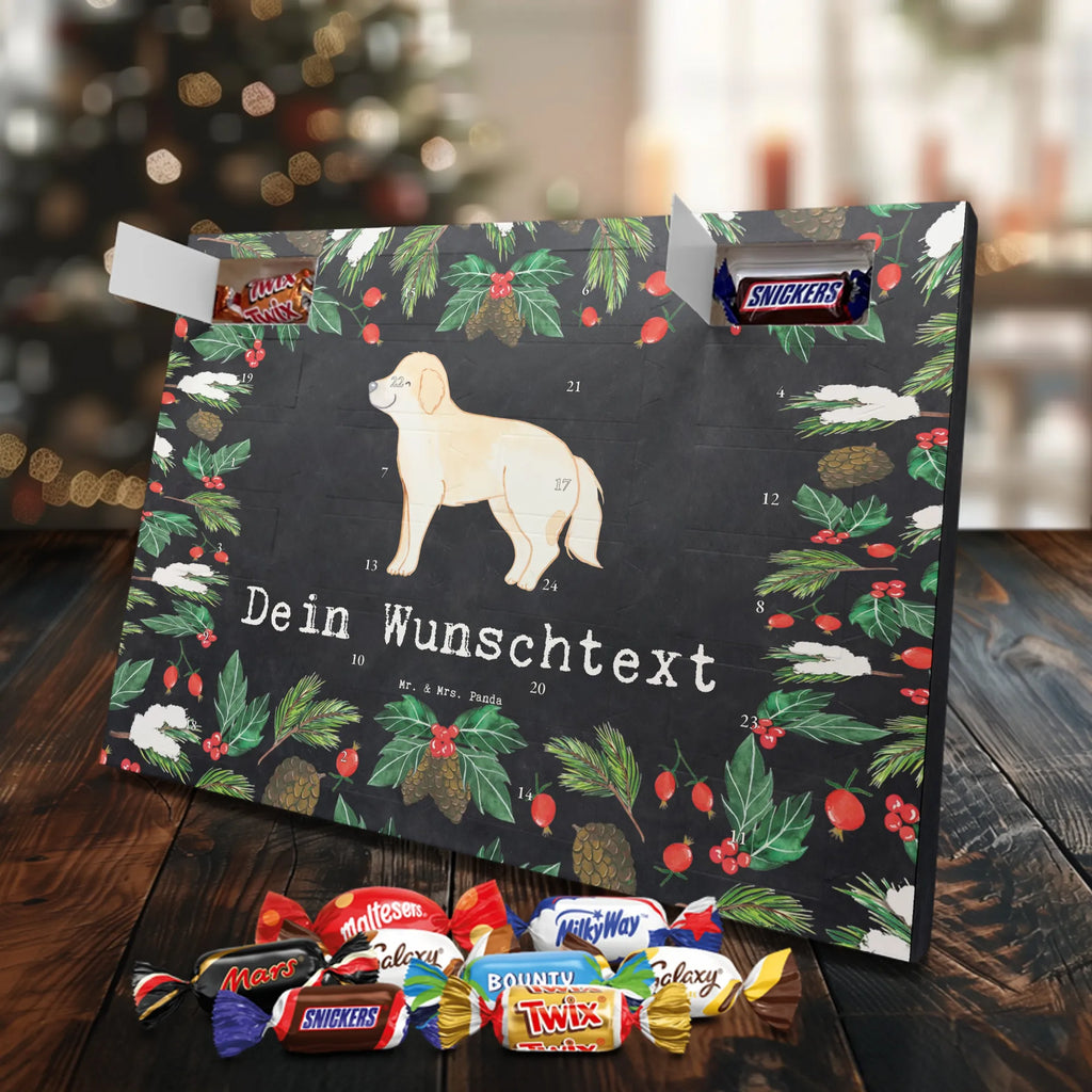  Golden Retriever chwila dawanie, prezent, Pies, rasa psa, pies rasowy, właściciel psa, miłośnik zwierząt, szczeniak