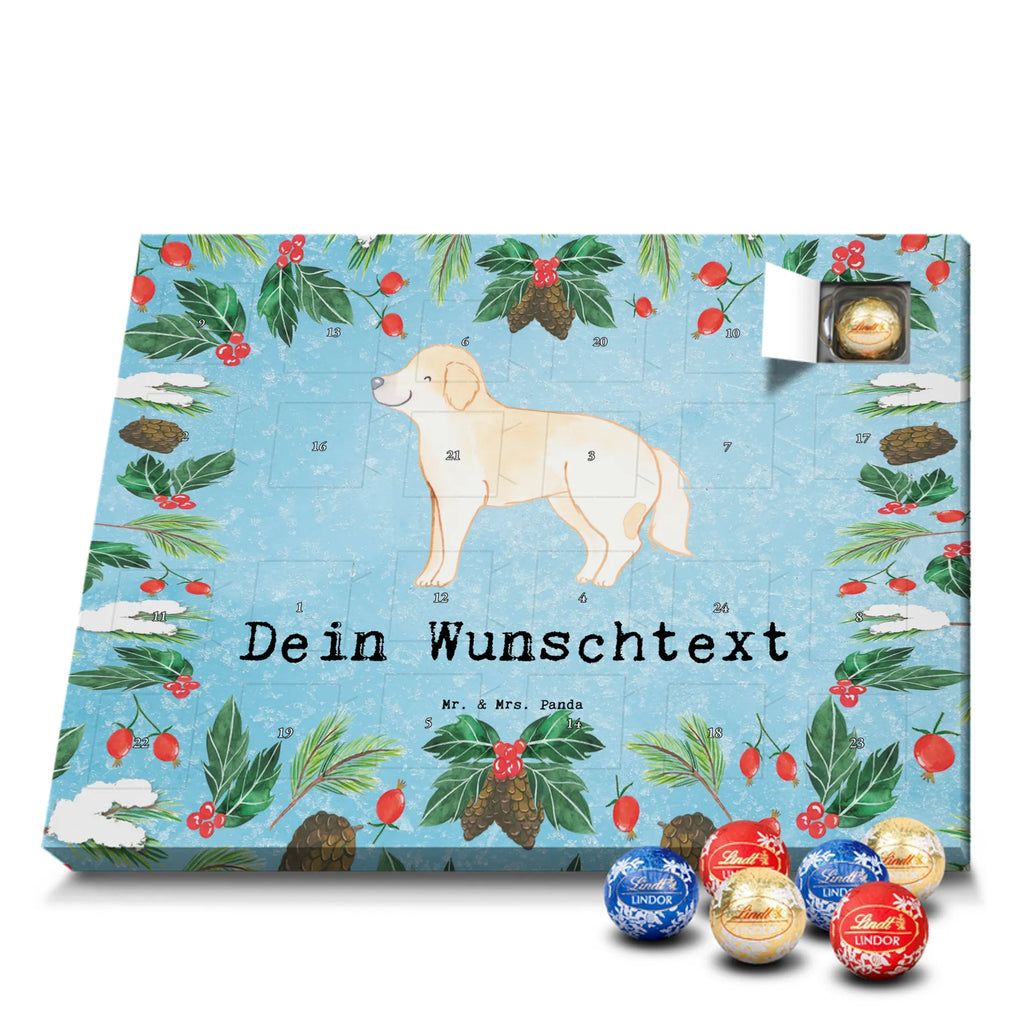  Golden Retriever chwila dawanie, prezent, Pies, rasa psa, pies rasowy, właściciel psa, miłośnik zwierząt, szczeniak