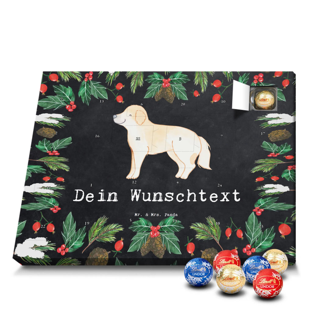  Golden Retriever chwila dawanie, prezent, Pies, rasa psa, pies rasowy, właściciel psa, miłośnik zwierząt, szczeniak