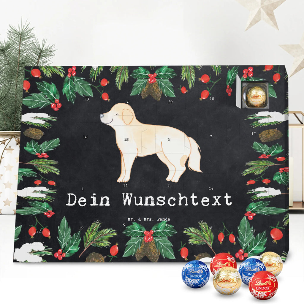  Golden Retriever chwila dawanie, prezent, Pies, rasa psa, pies rasowy, właściciel psa, miłośnik zwierząt, szczeniak