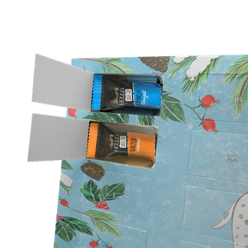  Dalmatyńczyk Chwila dawanie, prezent, Pies, rasa psa, pies rasowy, właściciel psa, miłośnik zwierząt, szczeniak