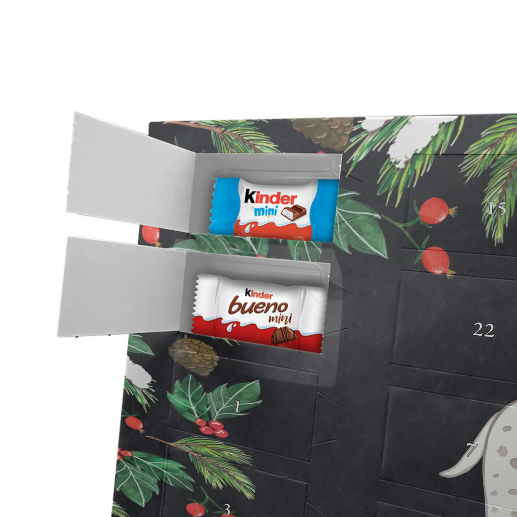  Dalmatyńczyk Chwila dawanie, prezent, Pies, rasa psa, pies rasowy, właściciel psa, miłośnik zwierząt, szczeniak