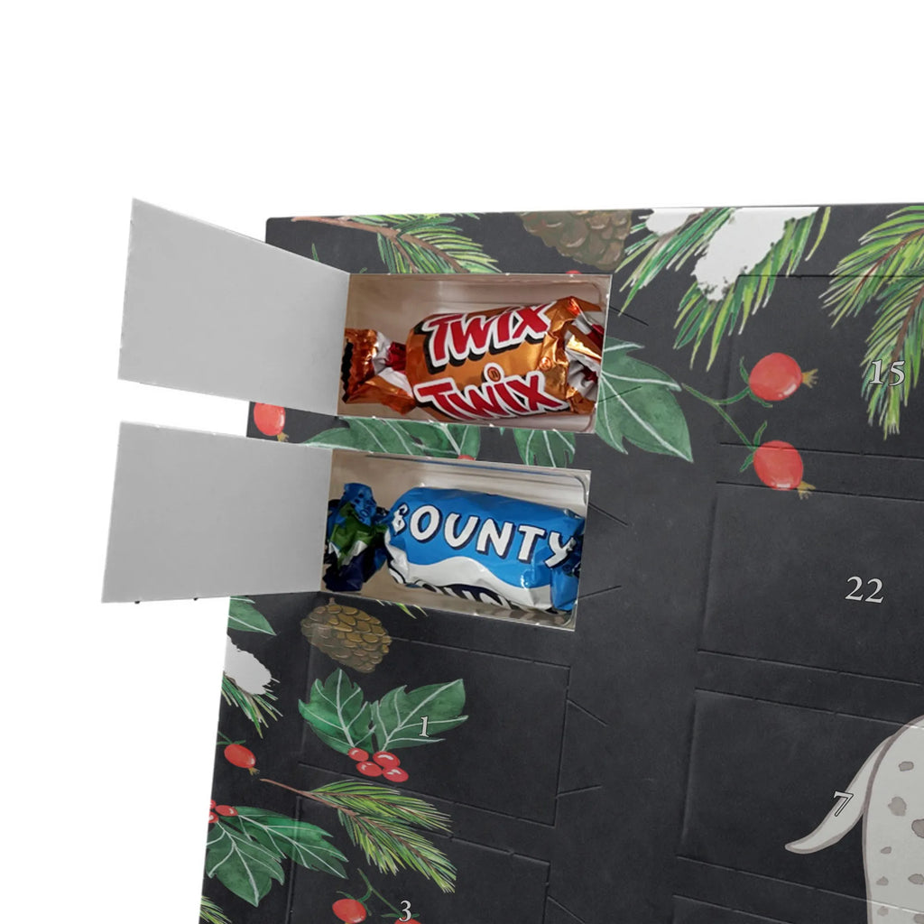  Dalmatyńczyk Chwila dawanie, prezent, Pies, rasa psa, pies rasowy, właściciel psa, miłośnik zwierząt, szczeniak