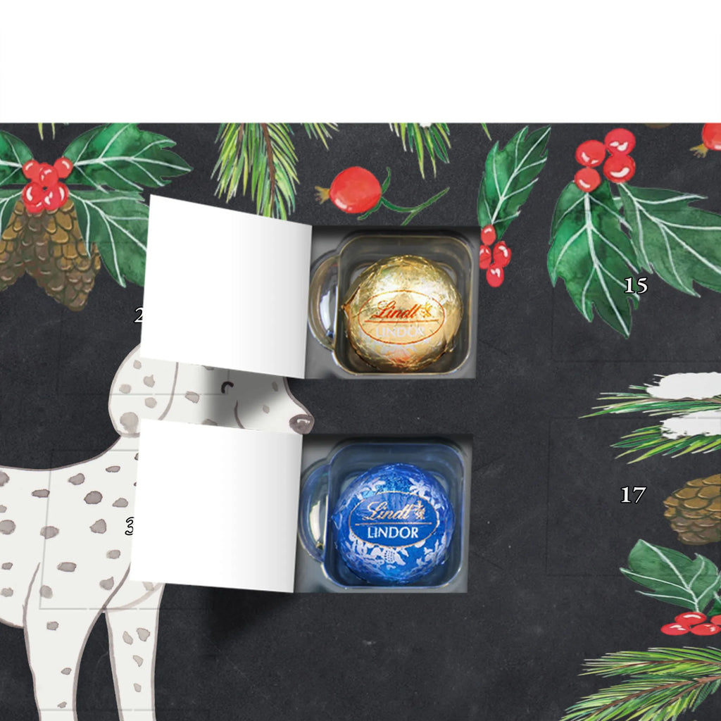  Dalmatyńczyk Chwila dawanie, prezent, Pies, rasa psa, pies rasowy, właściciel psa, miłośnik zwierząt, szczeniak