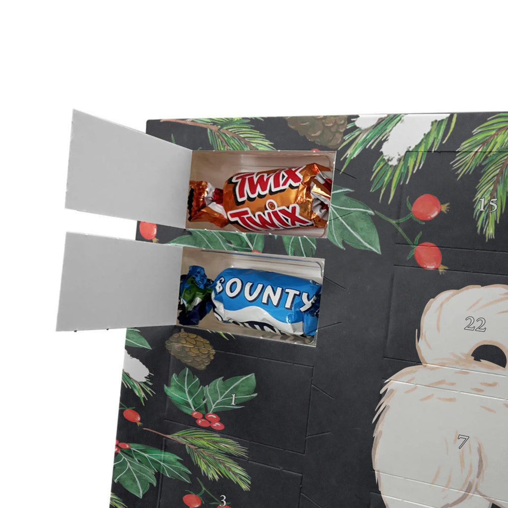  Maltipoo Moment gift, animal lover, giving, dog breed, purebred dog, dog owner, puppy