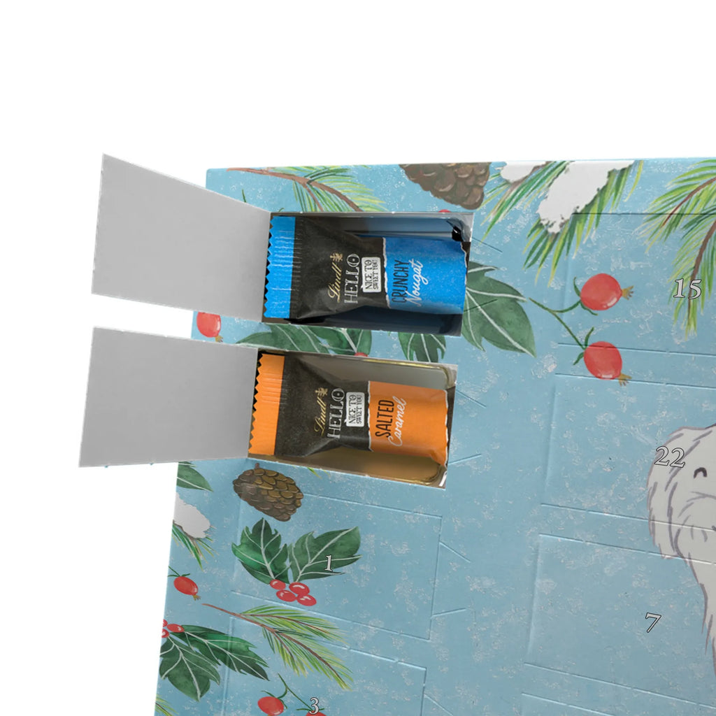  Maltese Moment Personalisierter Adventskalender, Adventskalender mit Namen, Schenken, Hundebesitzer, Rassehund, Hunderasse, Welpe, Hund, Geschenk, Tierfreund, Malteser