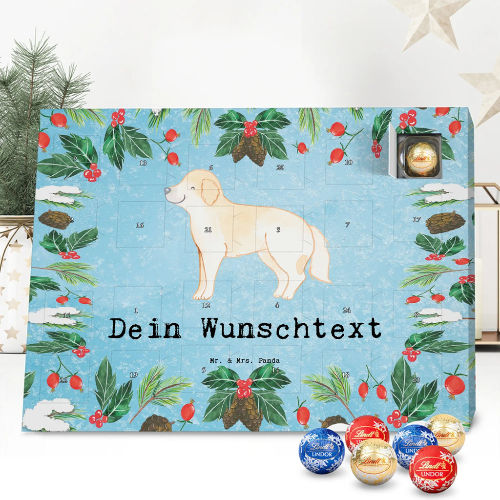  Golden Retriever chwila dawanie, prezent, Pies, rasa psa, pies rasowy, właściciel psa, miłośnik zwierząt, szczeniak