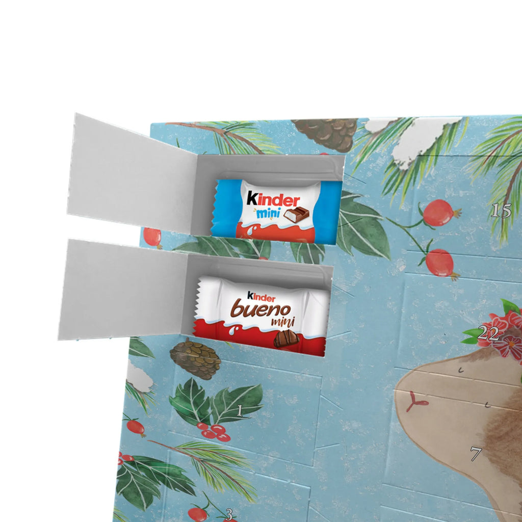  Guinea pig wisdom card, gift ideas, gifts, animal lover, special gifts, cute animal motives, hand drawn, small animals, good mood, cute, funny sayings, flower child, wisdom, wonder, saying, guinea pig, wonderland, reality