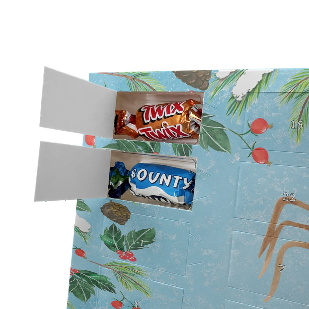  Pająk Agata kawa Filmy, Towary, Pająk, Pająk Agathe