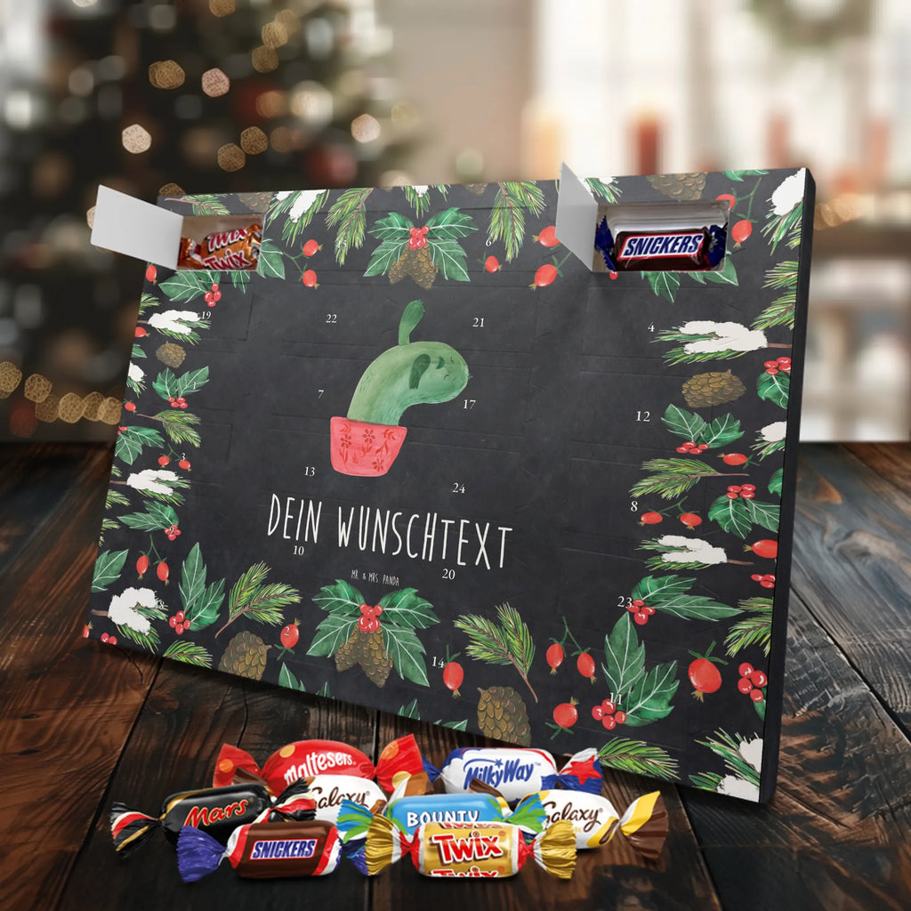  cactus mummy plants, cactus plant, small green cactus, cactuses, cactus, cacti, quota, school, annoyance, office life, cactus love