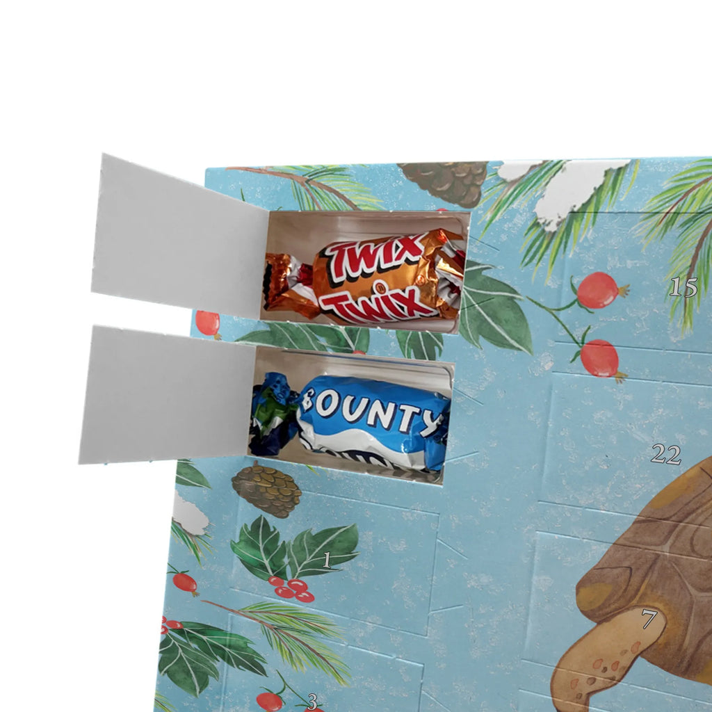 Personalisierter Schoko Adventskalender Schildkröte Marschieren Personalisierter Adventskalender, Adventskalender mit Namen, Urlaub, Meerestiere, Meer, Inspiration, Lieblingsmensch, Neustart, Reiselust, Schildkröten, Get Lost, Schildkröte, Motivation, Abenteuer