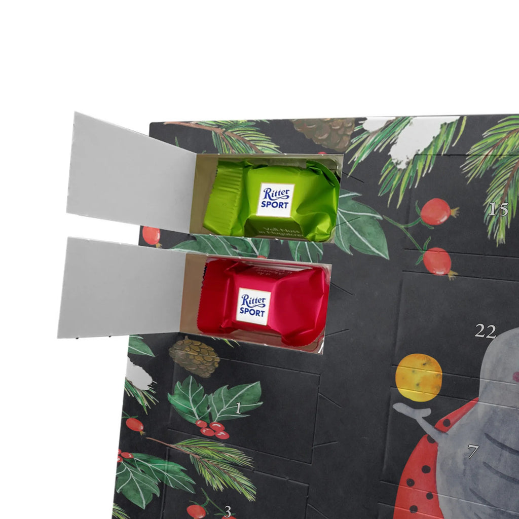 Adventskalender mit Namen Sternzeichen Zwilling Personalisierter Adventskalender, Adventskalender mit Namen, Aszendent, Sternzeichen, Astrologie, Tierkreiszeichen, Horoskop, Glückskäfer, Zwillingsschwester, Marienkäfer, Geschenk Mai, Zwilling Geschenk, Zwillinge, Geburtstag Mai, Zwillingsbruder, Geschenk Juni, Zwilling Sternzeichen