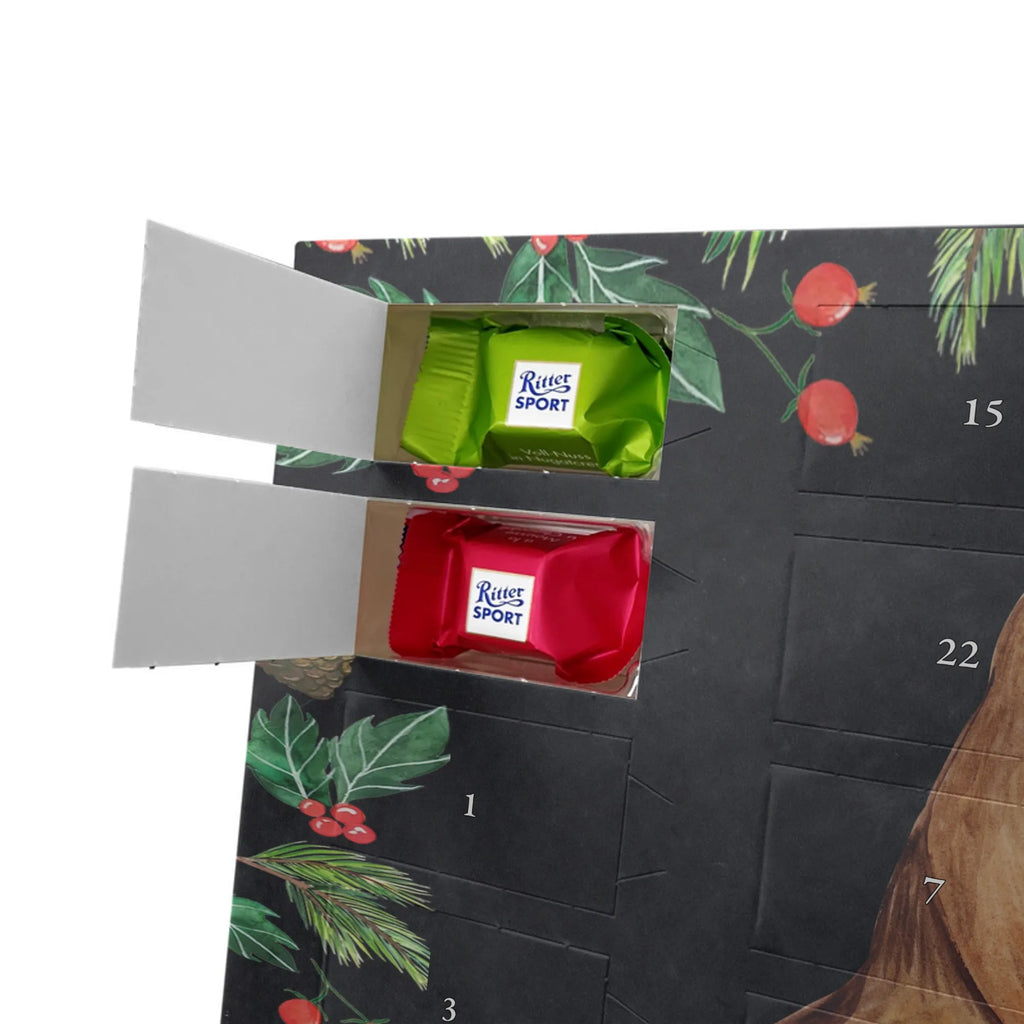 Chocolate advent calendar robin Sleds Christmas time, snow, bird, sleigh