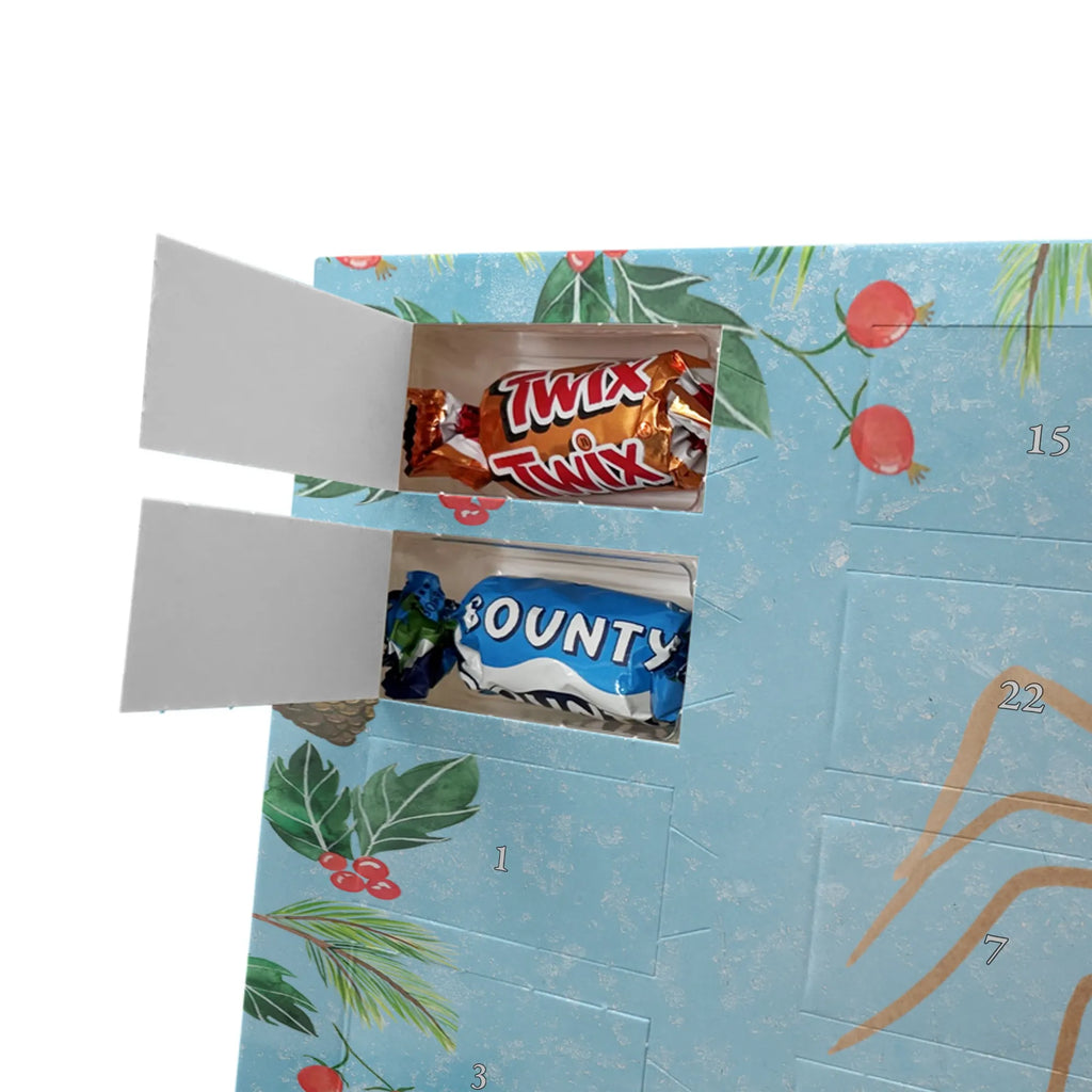  Pająk Agata Impreza Filmy, Towary, Pająk, Pająk Agathe