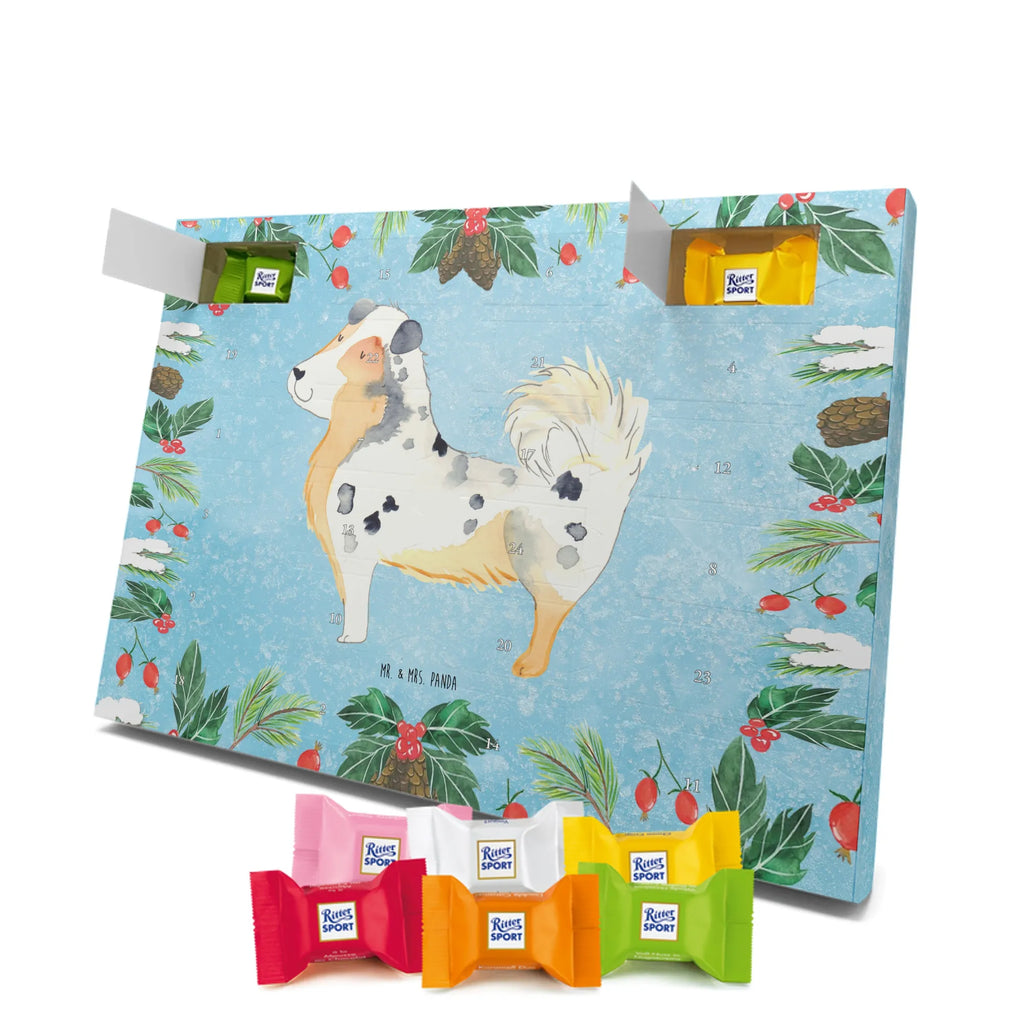 Chocolate advent calendar Dog Australia Shepherd mutt, dog sayings, love dogs, dog mama, funny gifts for dog owners, woof, what do you give a dog lover, dog breed, Christmas gifts for dogs, gifts for dogs, bag with dog print, love for dogs, hound, dog decorative items, Dog love, Australia Shepherd, Family dog, Saying, Sayings