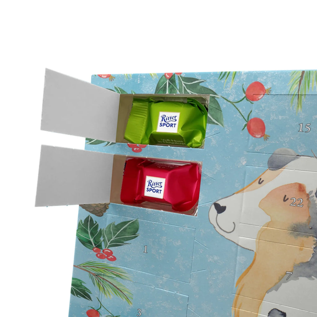 Chocolate advent calendar Dog Australia Shepherd mutt, dog sayings, love dogs, dog mama, funny gifts for dog owners, woof, what do you give a dog lover, dog breed, Christmas gifts for dogs, gifts for dogs, bag with dog print, love for dogs, hound, dog decorative items, Dog love, Australia Shepherd, Family dog, Saying, Sayings