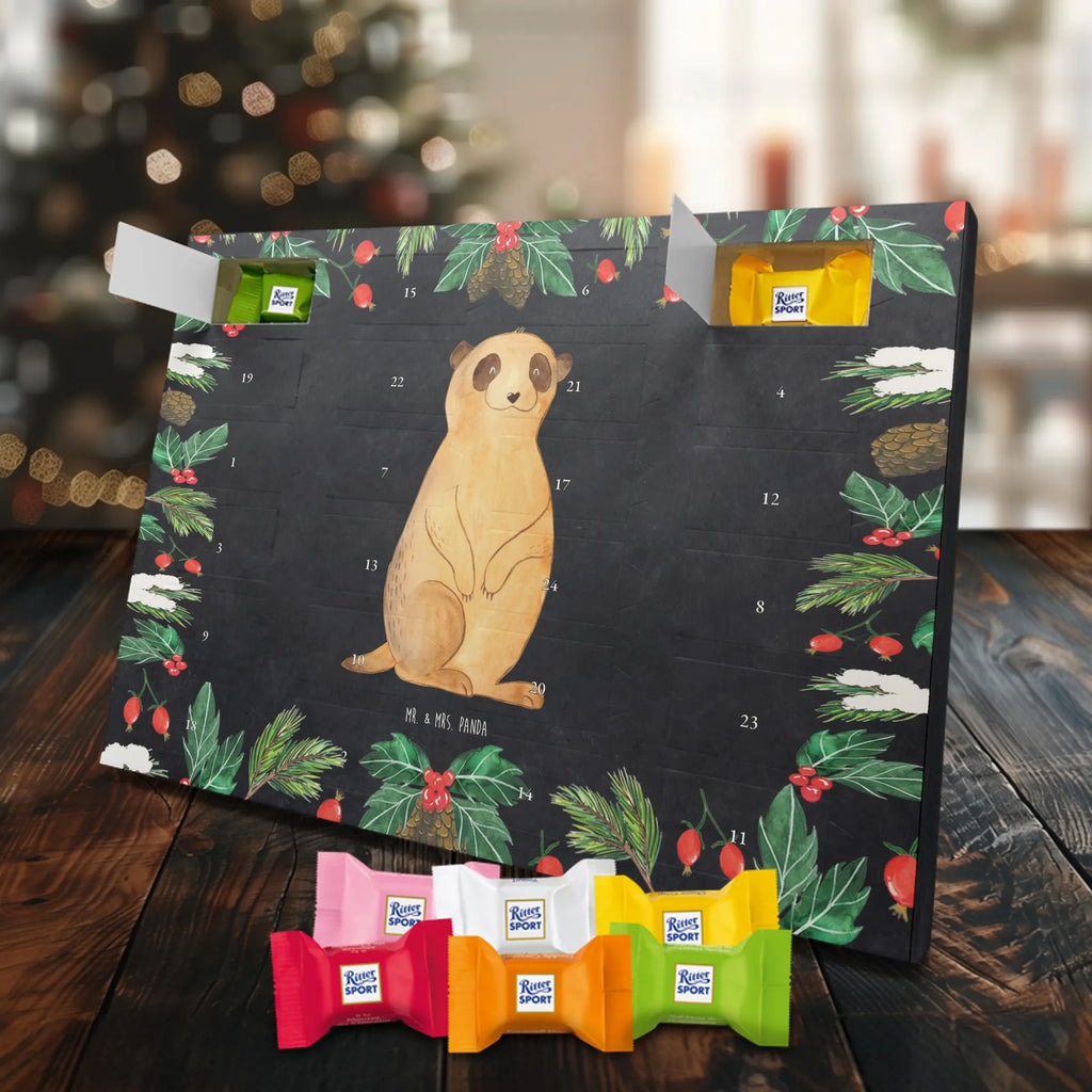 Chocolate advent calendar Meerkat Africa, World trip, Travel, Road trip, Saying, Africa trip, Meerkat