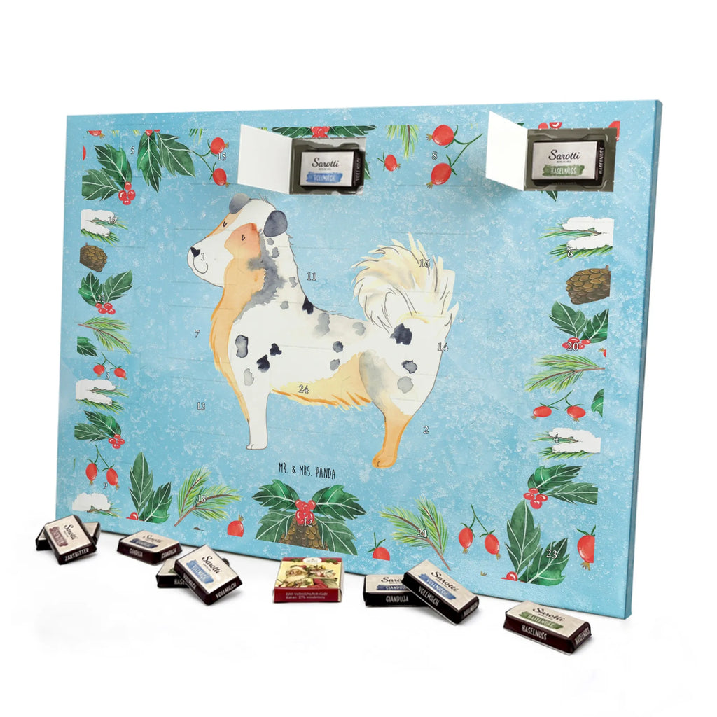 Chocolate advent calendar Dog Australia Shepherd mutt, dog sayings, love dogs, dog mama, funny gifts for dog owners, woof, what do you give a dog lover, dog breed, Christmas gifts for dogs, gifts for dogs, bag with dog print, love for dogs, hound, dog decorative items, Dog love, Australia Shepherd, Family dog, Saying, Sayings