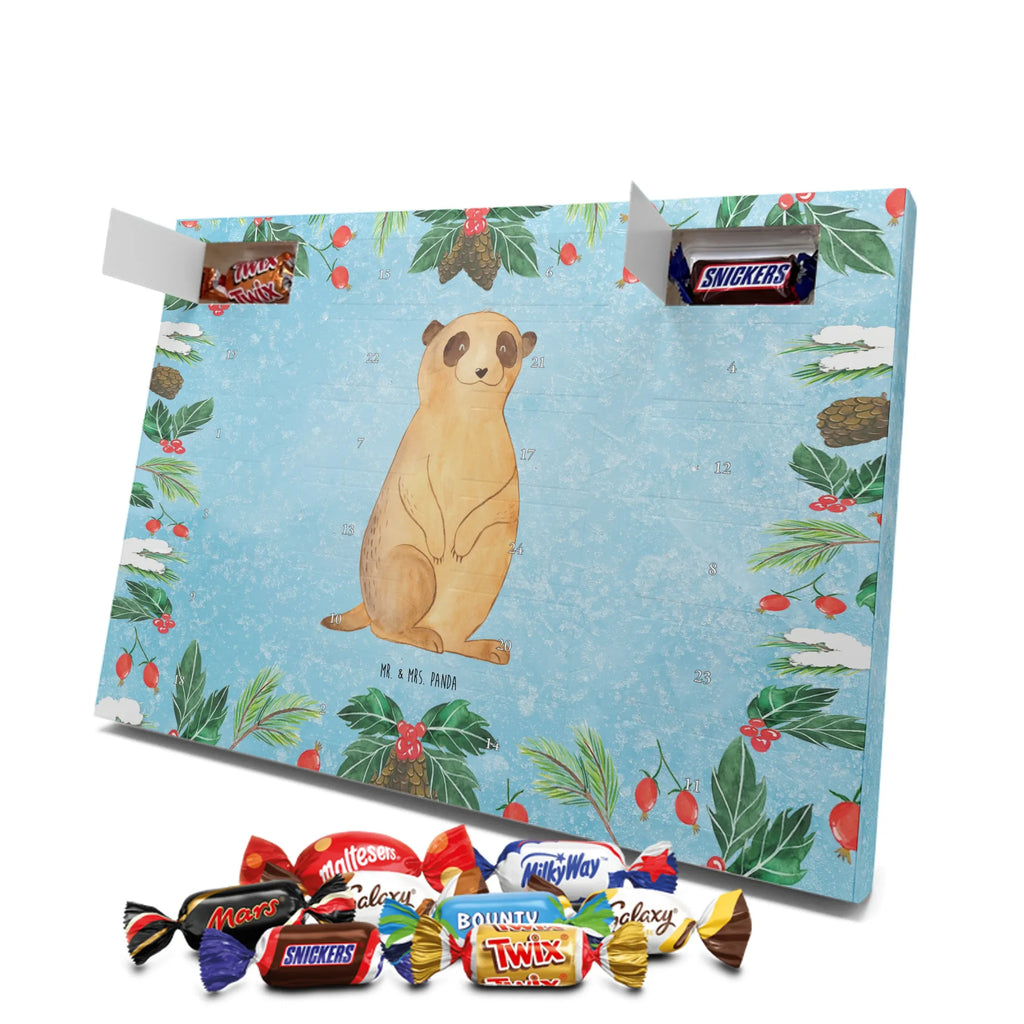 Chocolate advent calendar Meerkat Africa, World trip, Travel, Road trip, Saying, Africa trip, Meerkat