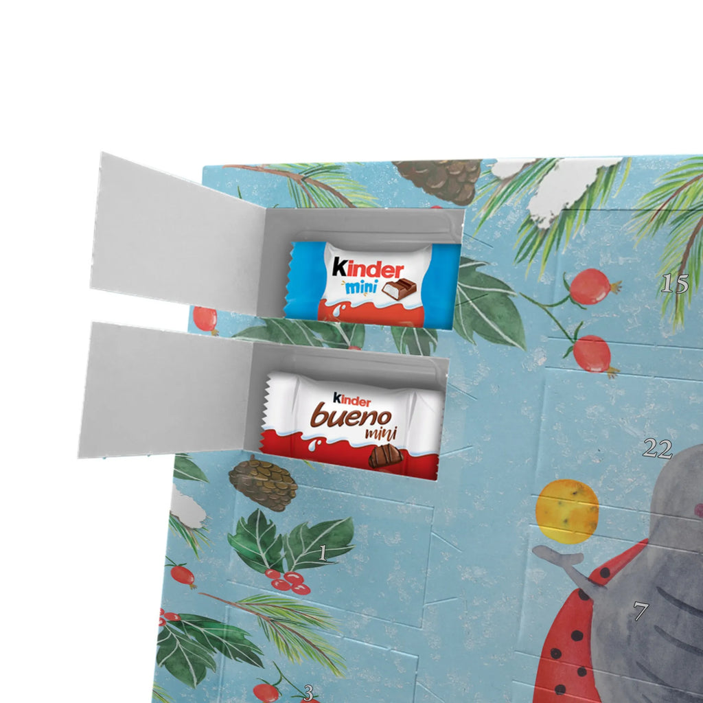 Adventskalender mit Namen Sternzeichen Zwilling Personalisierter Adventskalender, Adventskalender mit Namen, Aszendent, Sternzeichen, Astrologie, Tierkreiszeichen, Horoskop, Glückskäfer, Zwillingsschwester, Marienkäfer, Geschenk Mai, Zwilling Geschenk, Zwillinge, Geburtstag Mai, Zwillingsbruder, Geschenk Juni, Zwilling Sternzeichen