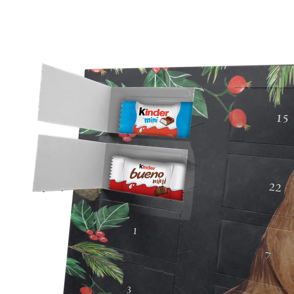 Chocolate advent calendar robin Sleds Christmas time, snow, bird, sleigh