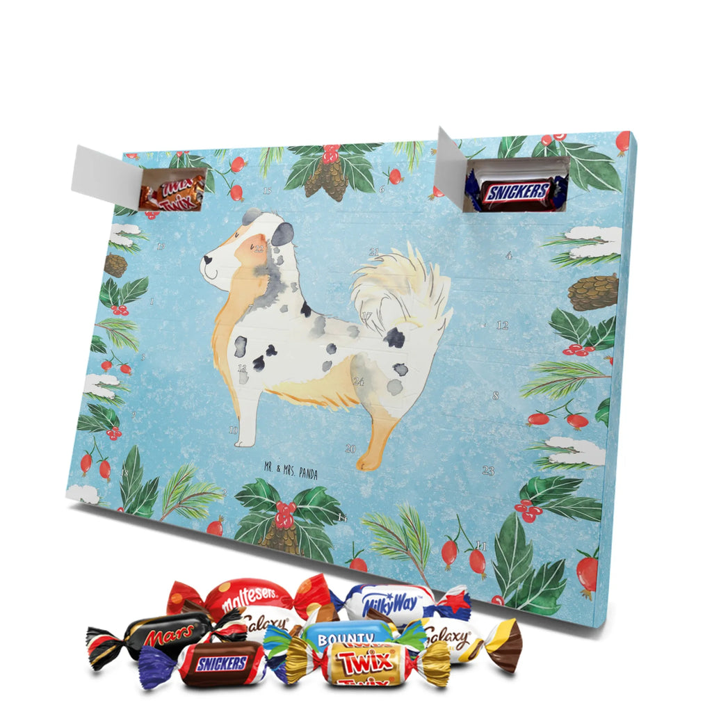 Chocolate advent calendar Dog Australia Shepherd mutt, dog sayings, love dogs, dog mama, funny gifts for dog owners, woof, what do you give a dog lover, dog breed, Christmas gifts for dogs, gifts for dogs, bag with dog print, love for dogs, hound, dog decorative items, Dog love, Australia Shepherd, Family dog, Saying, Sayings