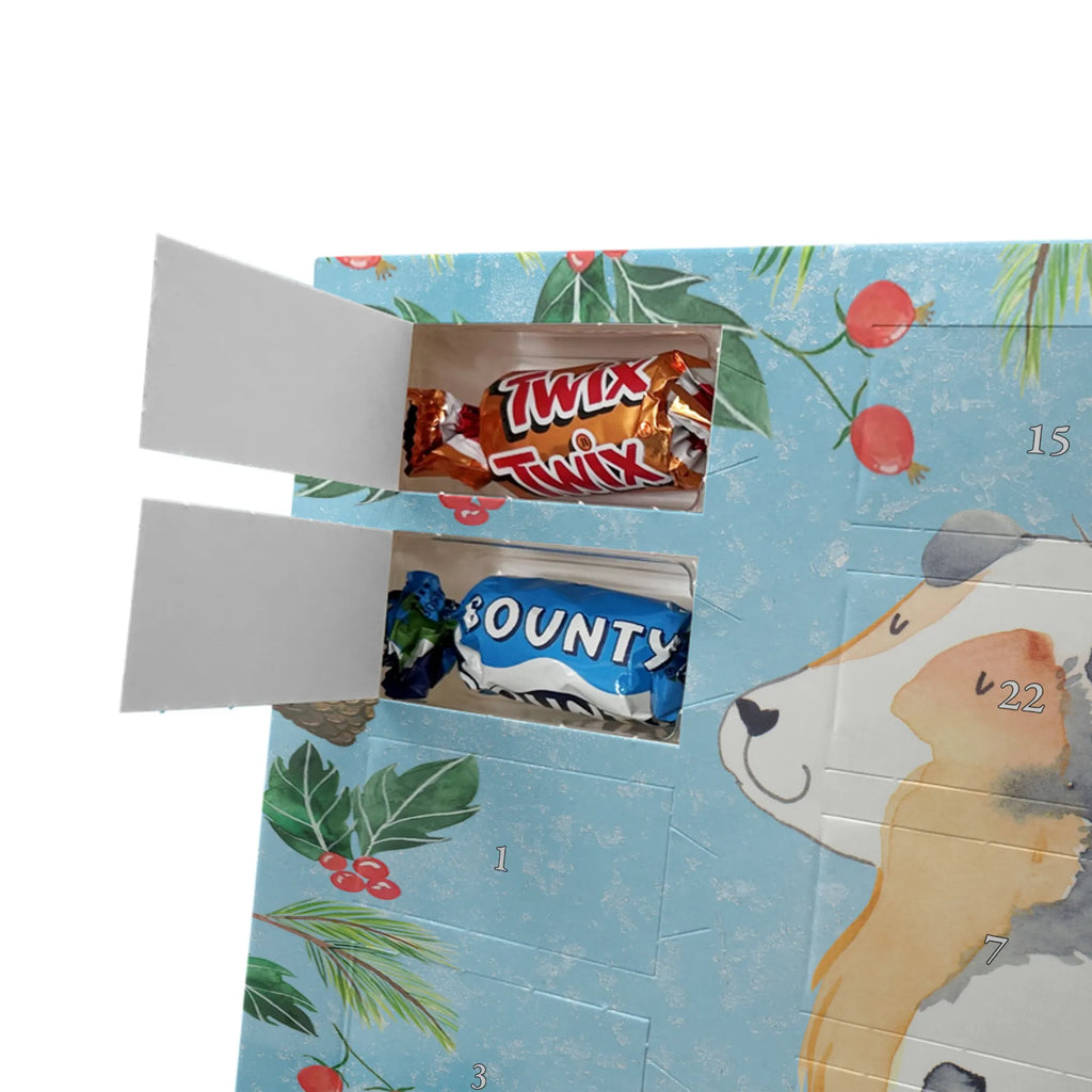 Chocolate advent calendar Dog Australia Shepherd mutt, dog sayings, love dogs, dog mama, funny gifts for dog owners, woof, what do you give a dog lover, dog breed, Christmas gifts for dogs, gifts for dogs, bag with dog print, love for dogs, hound, dog decorative items, Dog love, Australia Shepherd, Family dog, Saying, Sayings