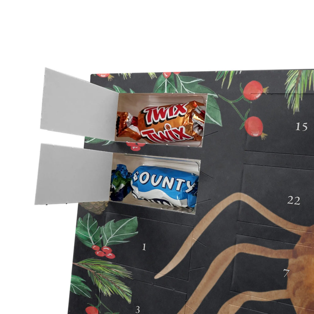 Chocolate advent calendar Spider Agathe Joy Spider, Spider Agathe