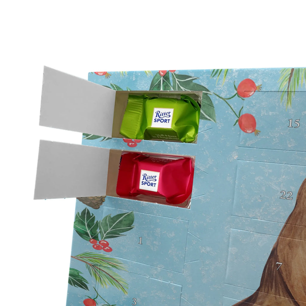 Chocolate advent calendar robin Sleds Christmas time, snow, bird, sleigh