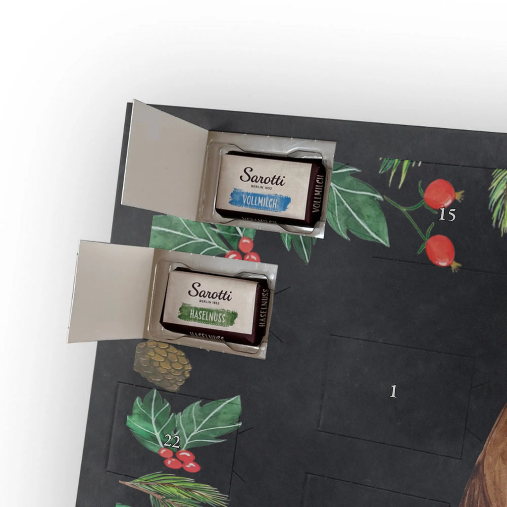 Chocolate advent calendar robin Sleds Christmas time, snow, bird, sleigh