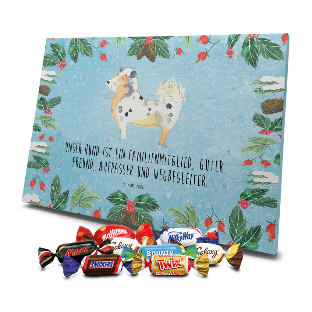Chocolate advent calendar Dog Australia Shepherd mutt, dog sayings, love dogs, dog mama, funny gifts for dog owners, woof, what do you give a dog lover, dog breed, Christmas gifts for dogs, gifts for dogs, bag with dog print, love for dogs, hound, dog decorative items, Dog love, Australia Shepherd, Family dog, Saying, Sayings