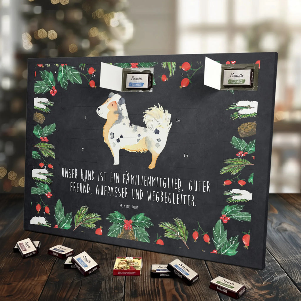 Chocolate advent calendar Dog Australia Shepherd mutt, dog sayings, love dogs, dog mama, funny gifts for dog owners, woof, what do you give a dog lover, dog breed, Christmas gifts for dogs, gifts for dogs, bag with dog print, love for dogs, hound, dog decorative items, Dog love, Australia Shepherd, Family dog, Saying, Sayings