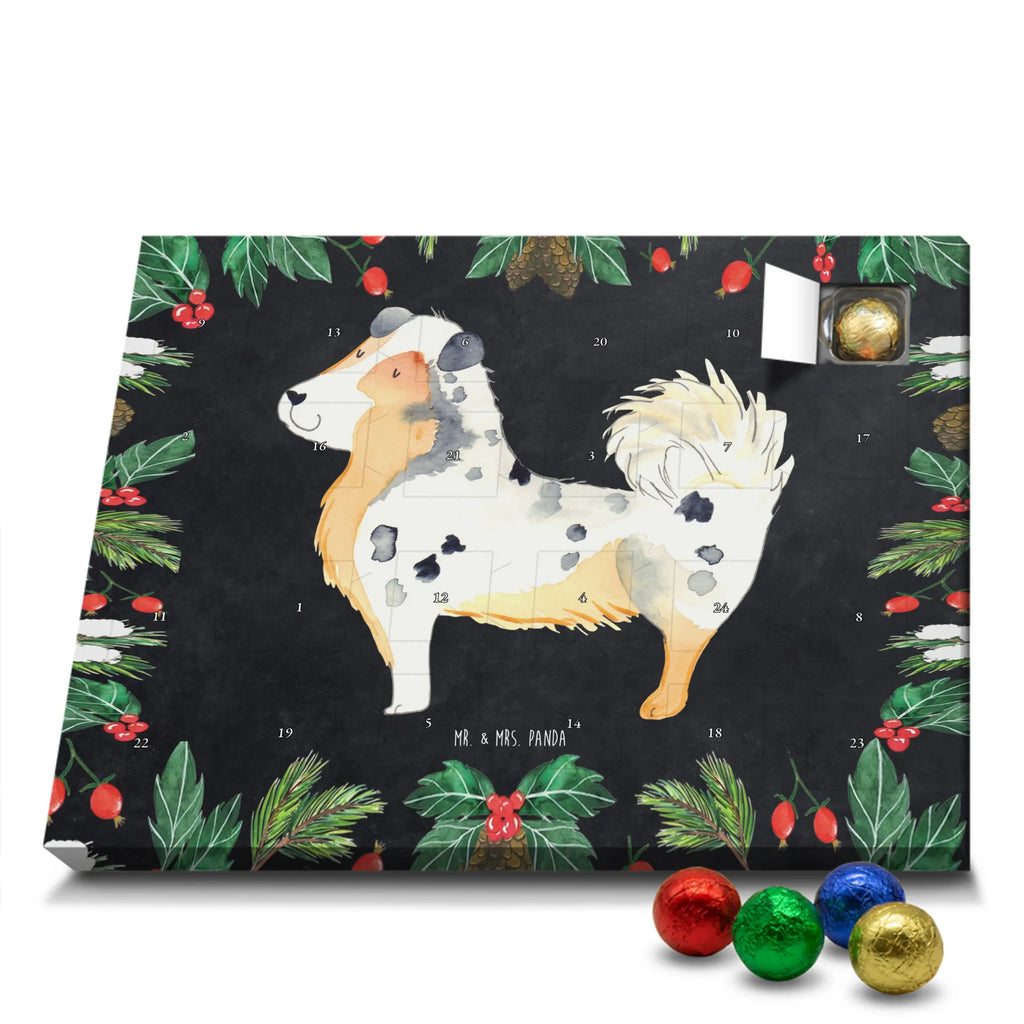 Chocolate advent calendar Dog Australia Shepherd mutt, dog sayings, love dogs, dog mama, funny gifts for dog owners, woof, what do you give a dog lover, dog breed, Christmas gifts for dogs, gifts for dogs, bag with dog print, love for dogs, hound, dog decorative items, Dog love, Australia Shepherd, Family dog, Saying, Sayings
