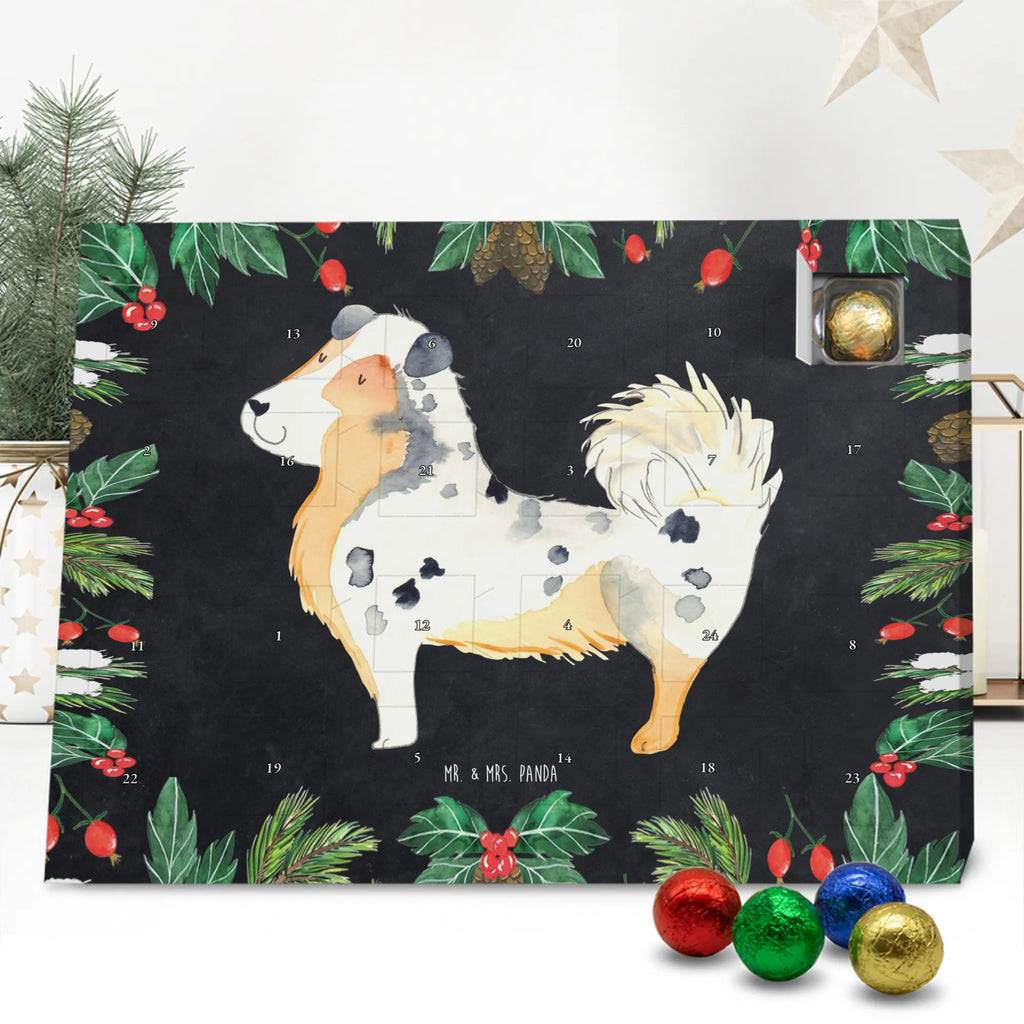 Chocolate advent calendar Dog Australia Shepherd mutt, dog sayings, love dogs, dog mama, funny gifts for dog owners, woof, what do you give a dog lover, dog breed, Christmas gifts for dogs, gifts for dogs, bag with dog print, love for dogs, hound, dog decorative items, Dog love, Australia Shepherd, Family dog, Saying, Sayings