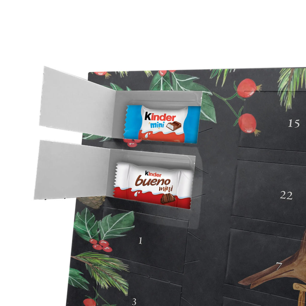 Chocolate advent calendar robin Sleds Christmas time, snow, bird, sleigh