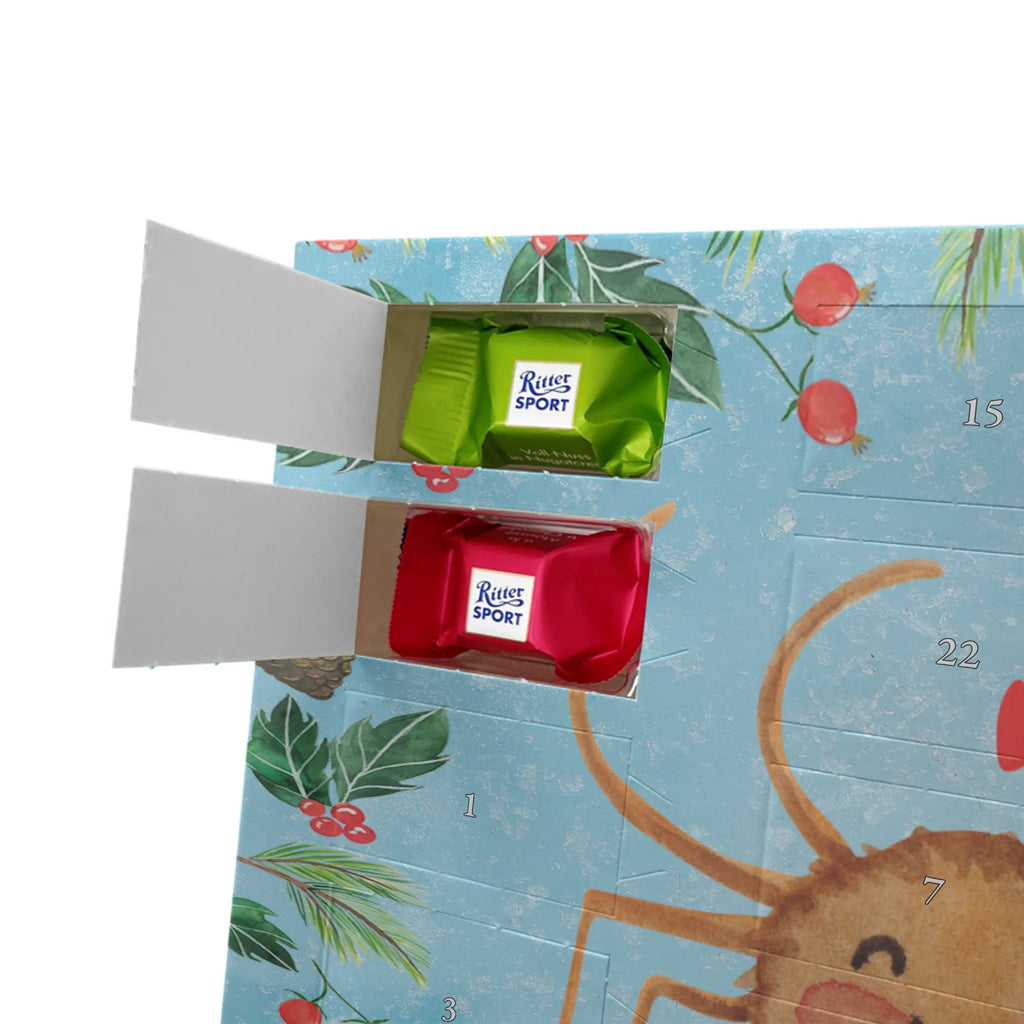 Chocolate advent calendar Spider Agatha Motivation Spider, Spider Agathe