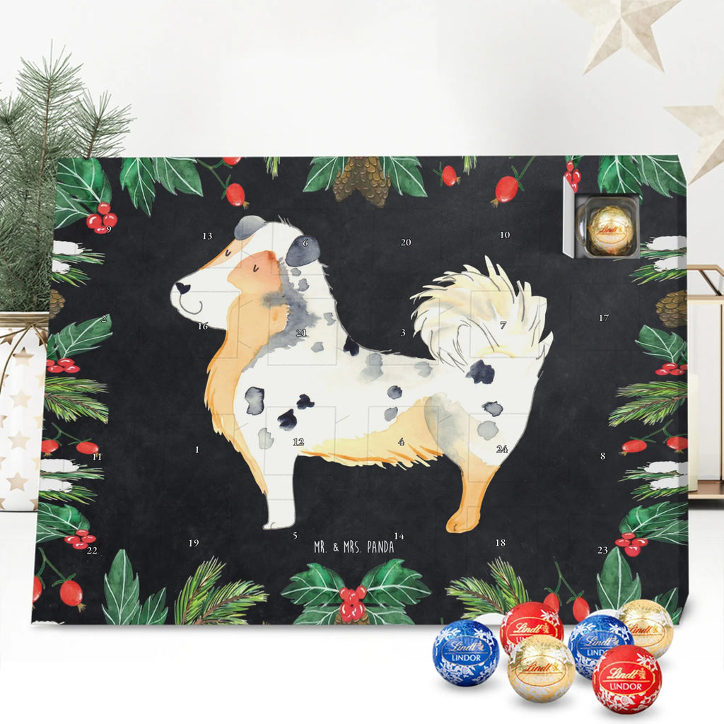 Chocolate advent calendar Dog Australia Shepherd mutt, dog sayings, love dogs, dog mama, funny gifts for dog owners, woof, what do you give a dog lover, dog breed, Christmas gifts for dogs, gifts for dogs, bag with dog print, love for dogs, hound, dog decorative items, Dog love, Australia Shepherd, Family dog, Saying, Sayings