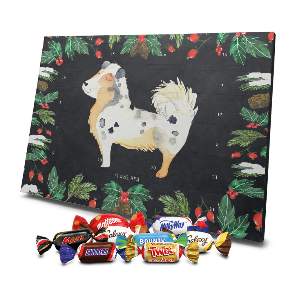 Chocolate advent calendar Dog Australia Shepherd mutt, dog sayings, love dogs, dog mama, funny gifts for dog owners, woof, what do you give a dog lover, dog breed, Christmas gifts for dogs, gifts for dogs, bag with dog print, love for dogs, hound, dog decorative items, Dog love, Australia Shepherd, Family dog, Saying, Sayings