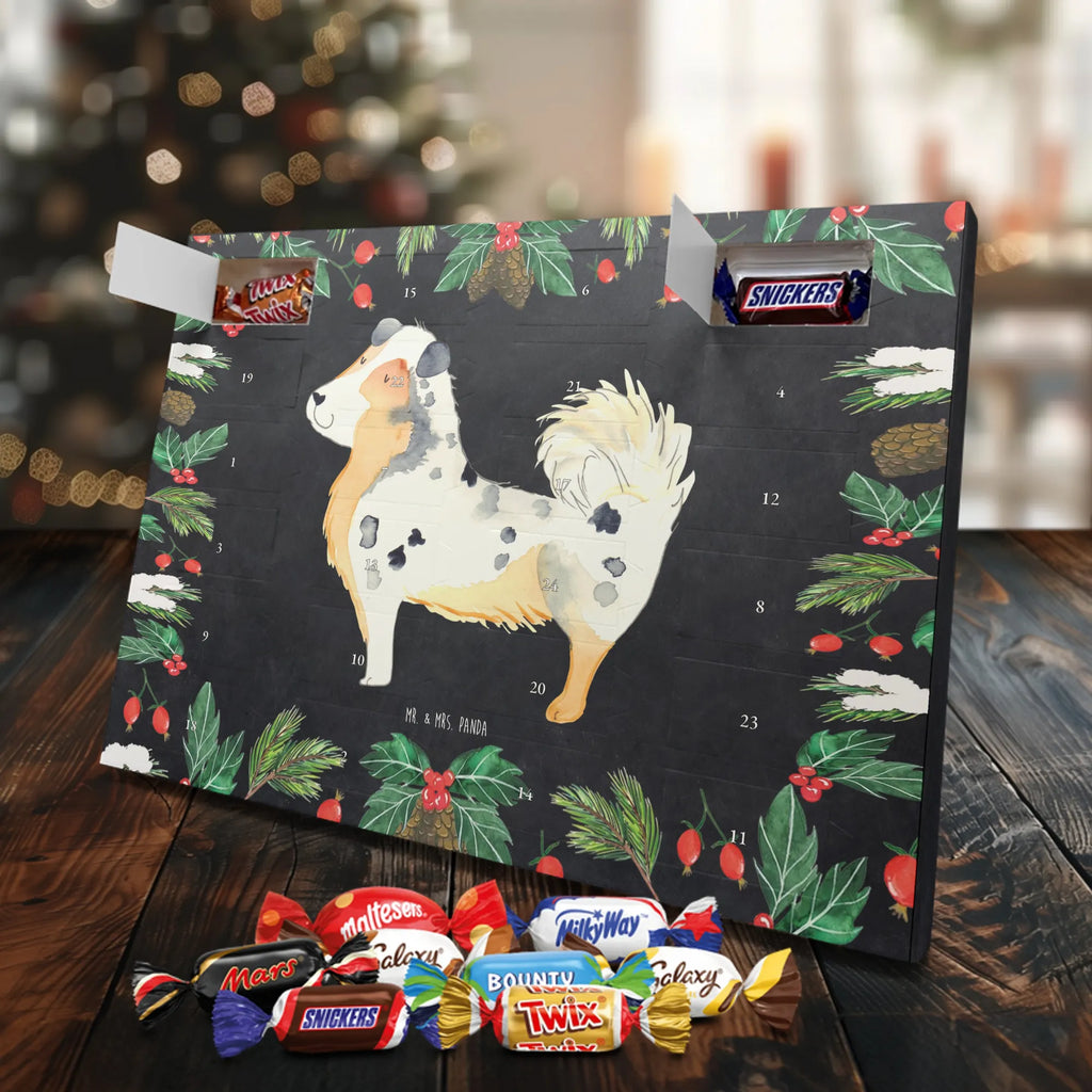 Chocolate advent calendar Dog Australia Shepherd mutt, dog sayings, love dogs, dog mama, funny gifts for dog owners, woof, what do you give a dog lover, dog breed, Christmas gifts for dogs, gifts for dogs, bag with dog print, love for dogs, hound, dog decorative items, Dog love, Australia Shepherd, Family dog, Saying, Sayings