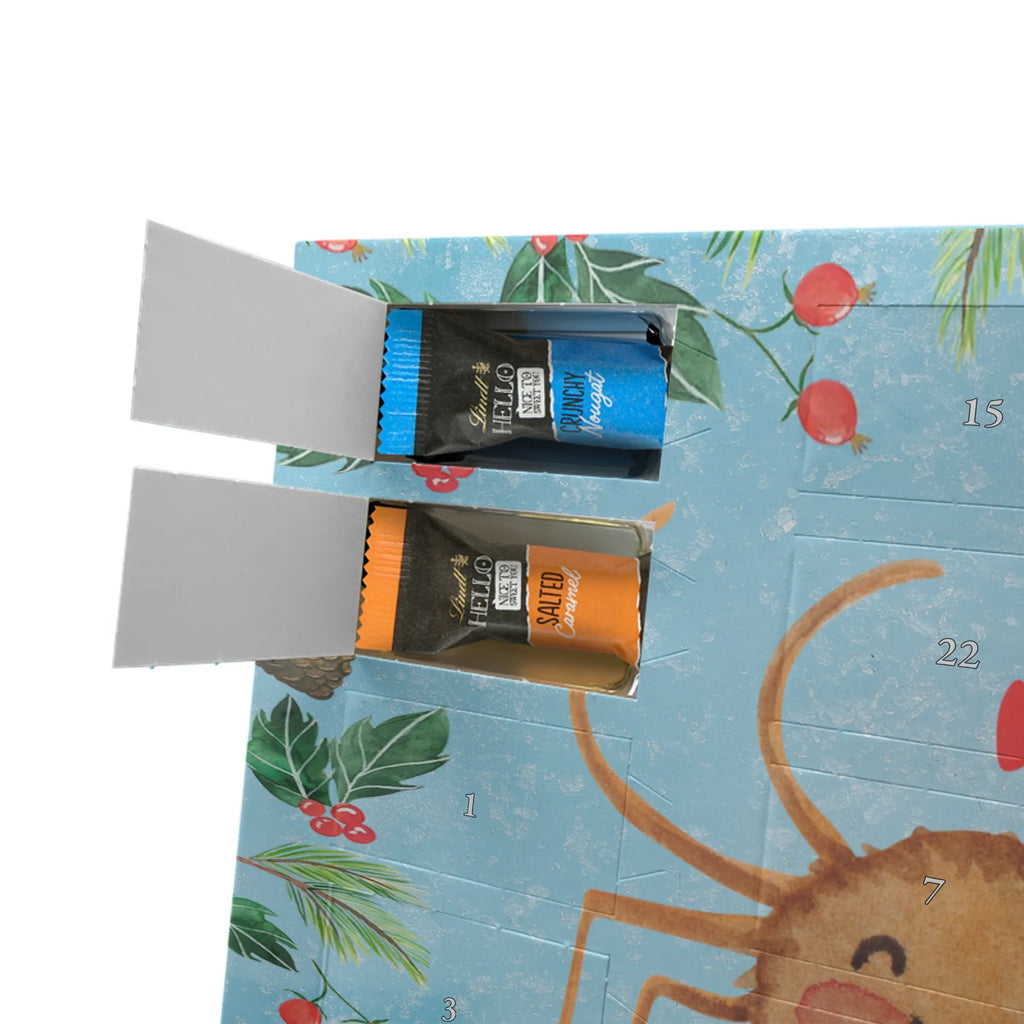 Chocolate advent calendar Spider Agatha Motivation Spider, Spider Agathe