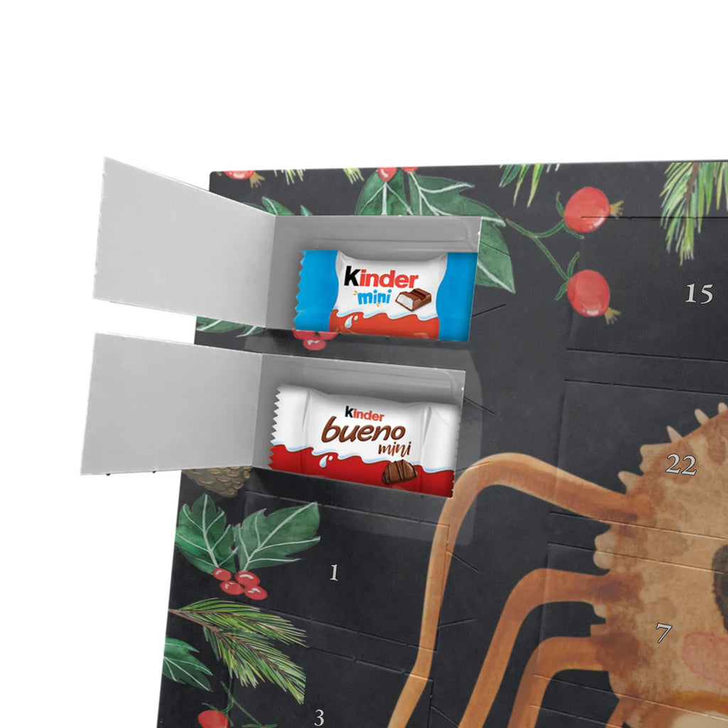 Weihnachtskalender Spinne Agathe Sandwich schoko kalender, Schokoladen-Adventskalender, Weihnachts Kalender, süßigkeiten adventskalender, kalender weihnachten, Weihnachten Adventskalender, Schoko-Adventskalender, Adventskalender, Weihnachtskalender Schokolade, schokolade adventskalender, kalender schokolade, schokoladenkalender, adventskalender schoko, pralinen adventskalender, Weihnachtskalender, schokoladen kalender, Schoko Adventskalender, adventskalender pralinen, schokokalender, Schokoladen Adventskalender, schoko weihnachtskalender, Adventskalender Schokolade, Schokoladen-Weihnachtskalender, adventskalender süßigkeiten, weihnachtskalender schoko, süßigkeiten kalender, Videos, Merchandise, Spinne, Agathe, Spinne Agathe, Alles Wird gut, Glück, Hunger, Mut, Hungrig, Verfressen, Lebensfreude