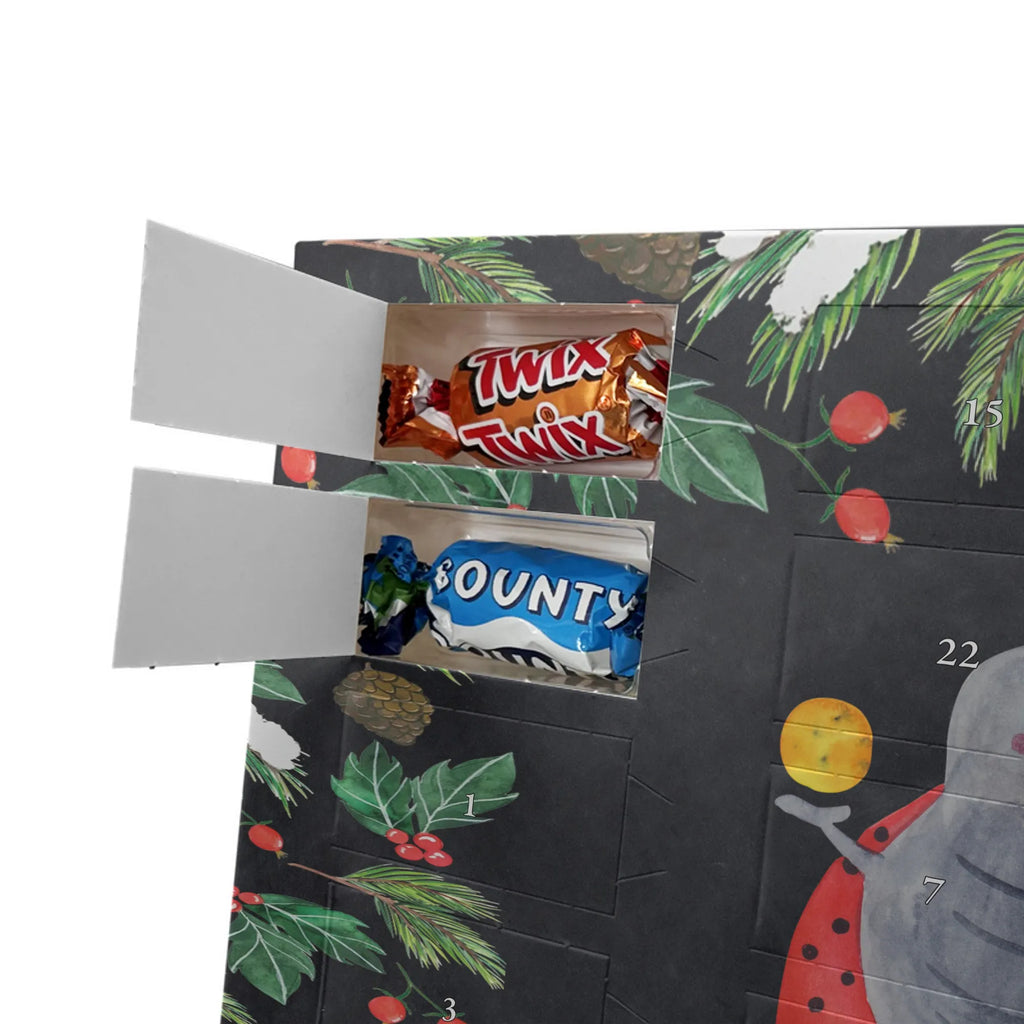 Adventskalender mit Namen Sternzeichen Zwilling Personalisierter Adventskalender, Adventskalender mit Namen, Aszendent, Sternzeichen, Astrologie, Tierkreiszeichen, Horoskop, Glückskäfer, Zwillingsschwester, Marienkäfer, Geschenk Mai, Zwilling Geschenk, Zwillinge, Geburtstag Mai, Zwillingsbruder, Geschenk Juni, Zwilling Sternzeichen