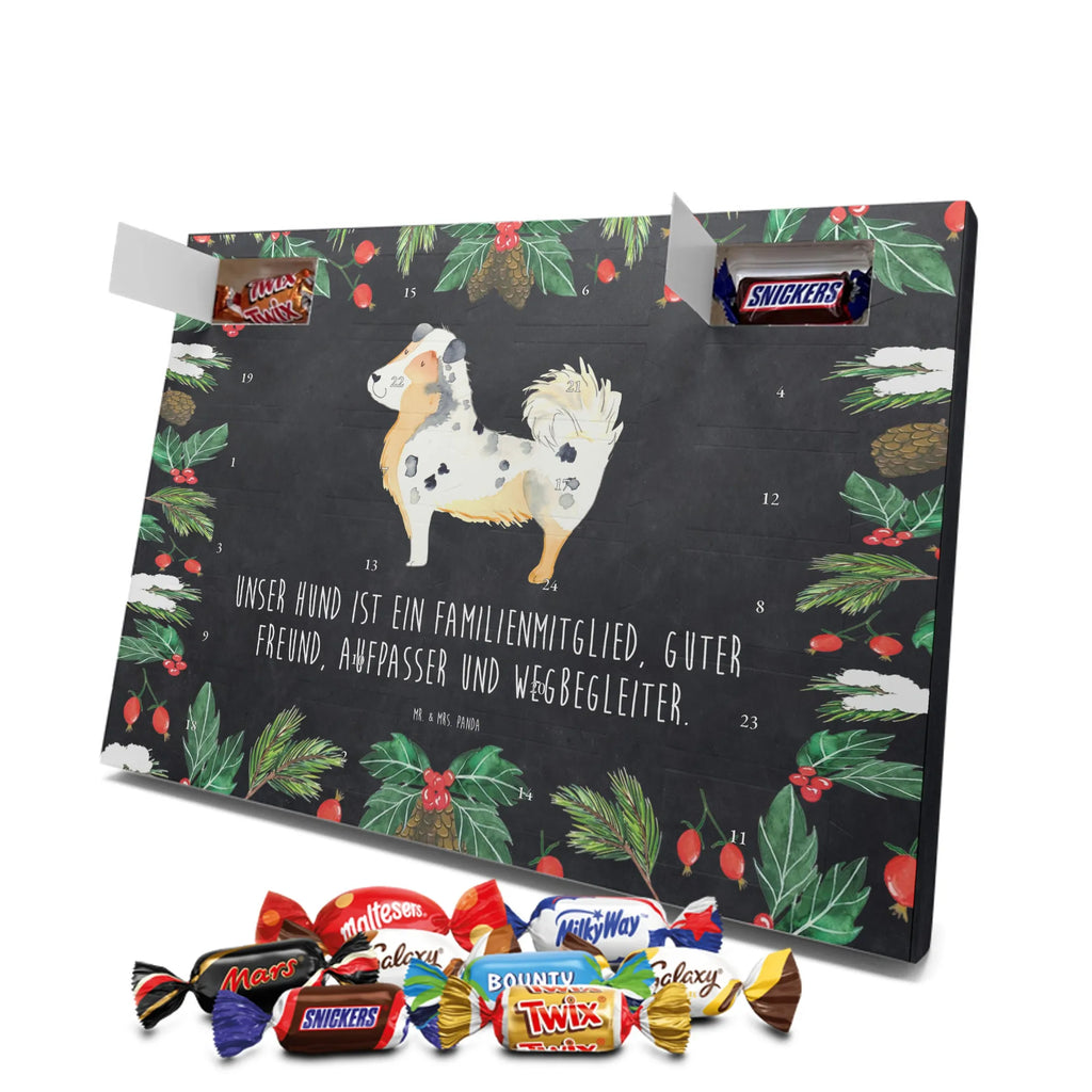 Chocolate advent calendar Dog Australia Shepherd mutt, dog sayings, love dogs, dog mama, funny gifts for dog owners, woof, what do you give a dog lover, dog breed, Christmas gifts for dogs, gifts for dogs, bag with dog print, love for dogs, hound, dog decorative items, Dog love, Australia Shepherd, Family dog, Saying, Sayings