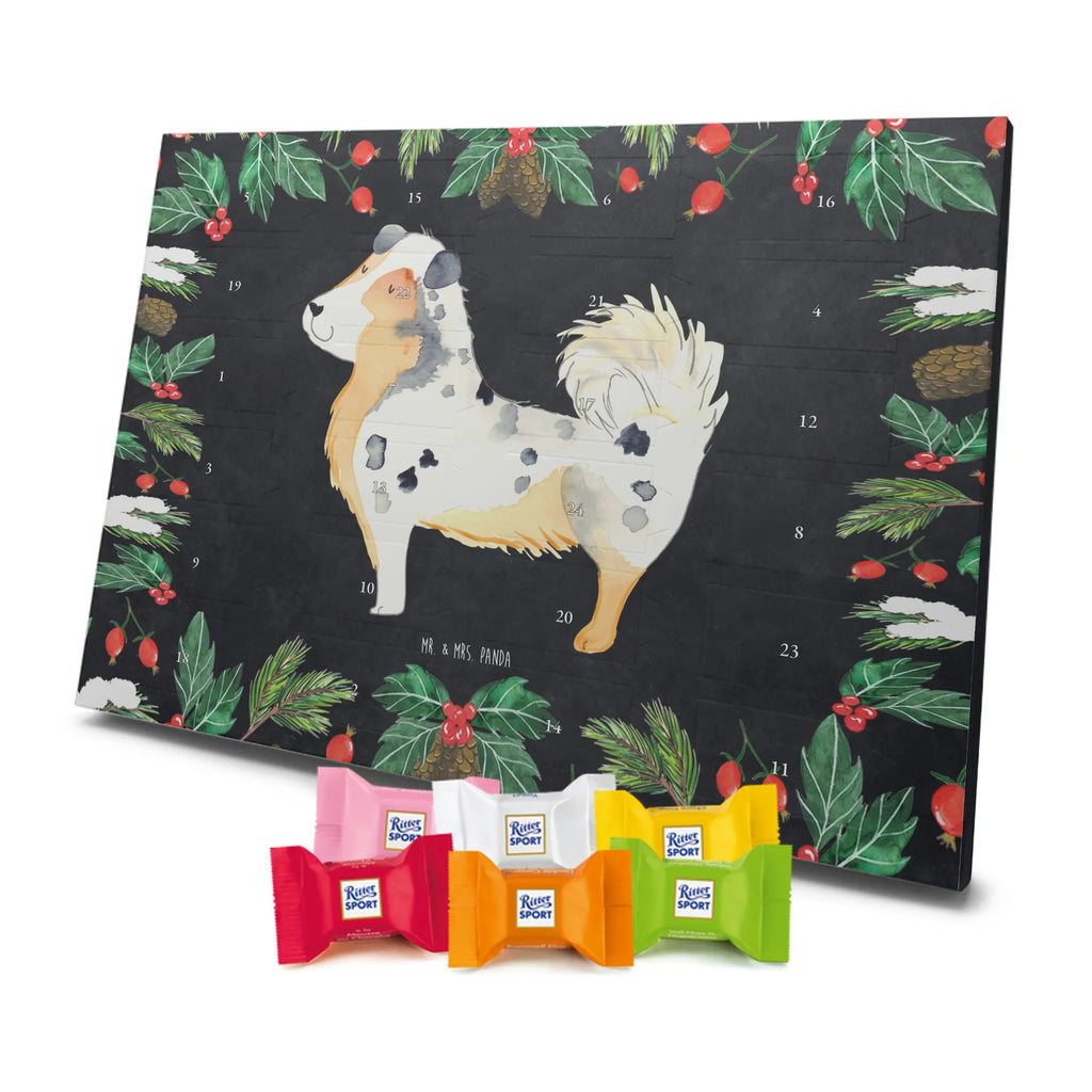 Chocolate advent calendar Dog Australia Shepherd mutt, dog sayings, love dogs, dog mama, funny gifts for dog owners, woof, what do you give a dog lover, dog breed, Christmas gifts for dogs, gifts for dogs, bag with dog print, love for dogs, hound, dog decorative items, Dog love, Australia Shepherd, Family dog, Saying, Sayings
