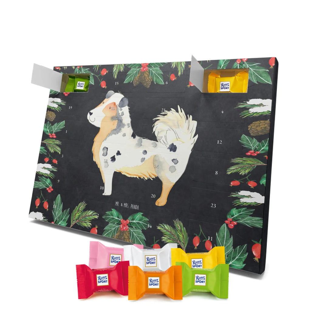 Chocolate advent calendar Dog Australia Shepherd mutt, dog sayings, love dogs, dog mama, funny gifts for dog owners, woof, what do you give a dog lover, dog breed, Christmas gifts for dogs, gifts for dogs, bag with dog print, love for dogs, hound, dog decorative items, Dog love, Australia Shepherd, Family dog, Saying, Sayings